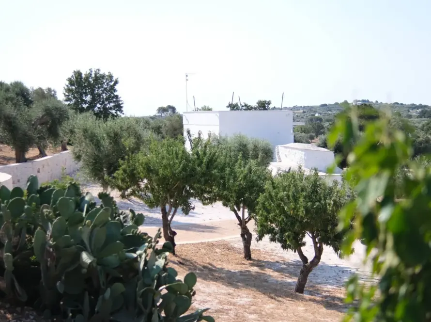 Yoga Retreat Center